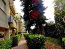 Продажа и длительная аренда квартиры на Кипре, Лимассол
