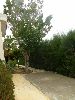 Снять дом в Пафосе на Кипре в Coral Bay