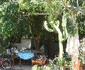 Купить дом с садом на Кипре