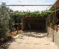 Продаются 2 соседних дома на Кипре на одном участке