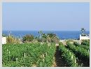 Снять большой дом на Кипре с видом на море