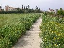 Купить дом в Пафосе на Кипре в Coral Bay