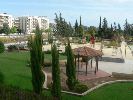 Снять дом в Лимассоле на Кипре в Crowne plaza (ex. Holiday inn) area